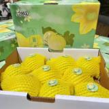 小脆香甜瓜 1.5kg