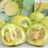 小脆香甜瓜 1.5kg
