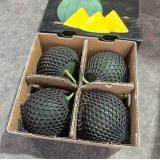 黑晶西瓜 8kg