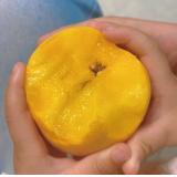 芒果桃 1.8kg