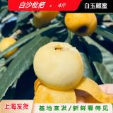 基地白沙枇杷 2kg