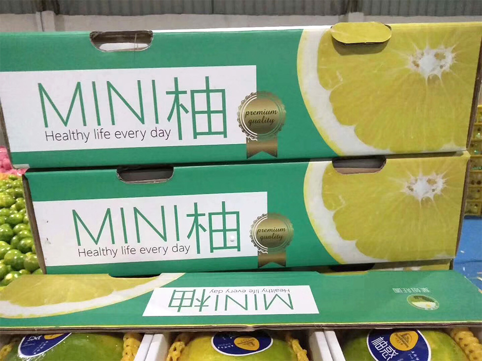 mini葡萄柚 约3kg_柚子_柑橘_水 果专区_正义田头菜市欢迎您