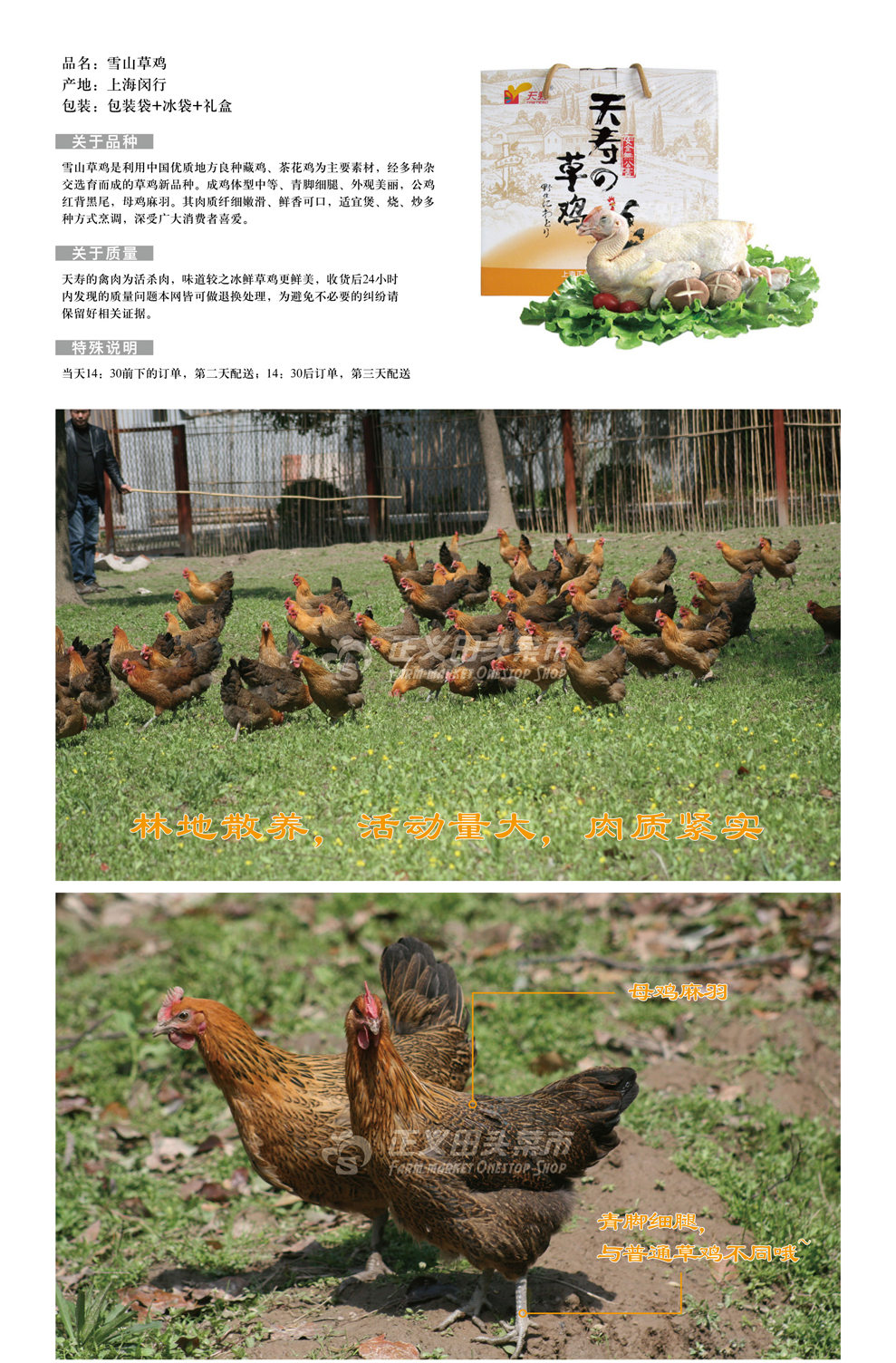雪山草鸡 草鸡礼盒约1kg_鸡_家禽_肉 禽专区_正义田头菜市欢迎您-
